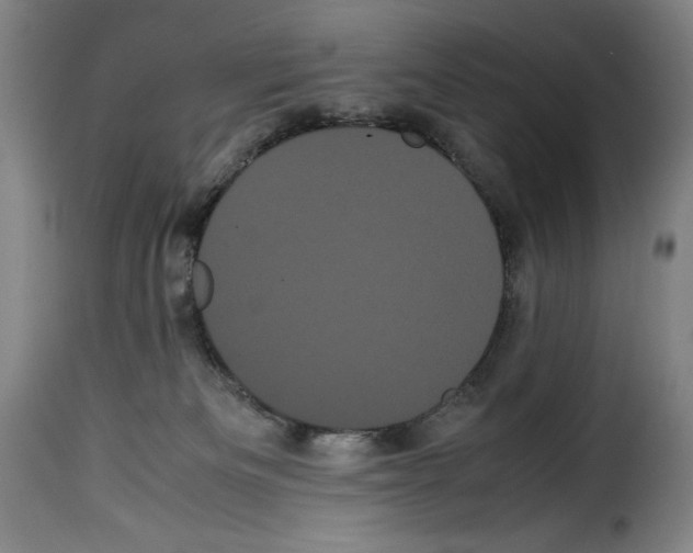 X0000114190133200911200945