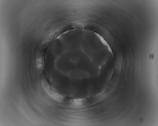 X0000114190134200911200945