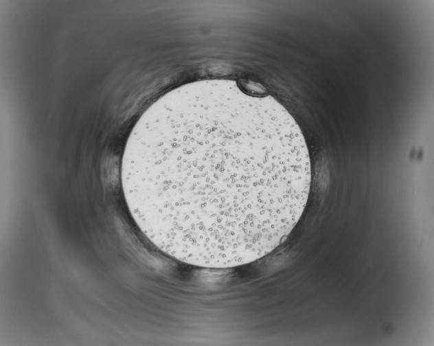 X0000114190135200911200945