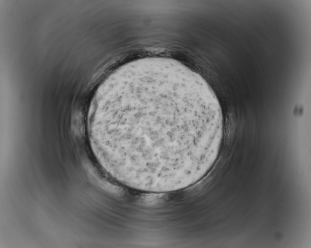 X0000114190136200911200945