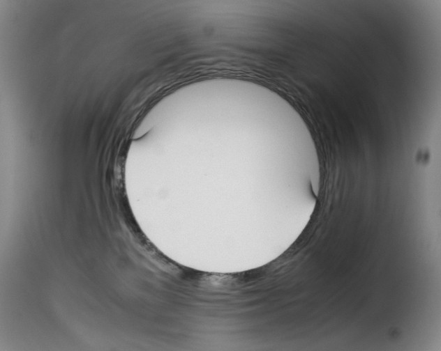 X0000114190137200911200945
