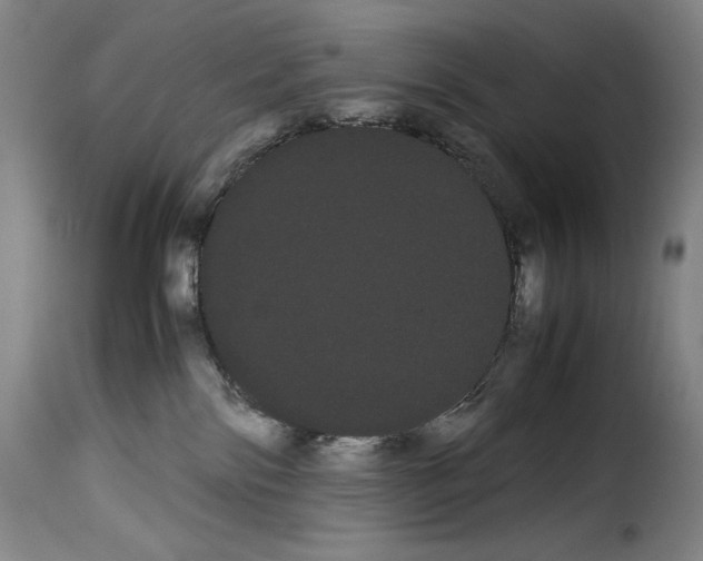 X0000114190138200911200945
