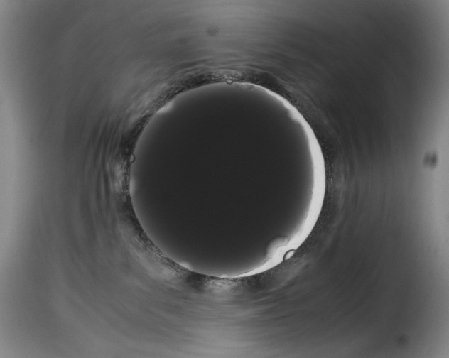 X0000114190139200911200945