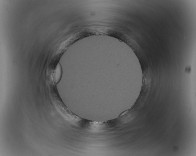 X0000114190141200911200945