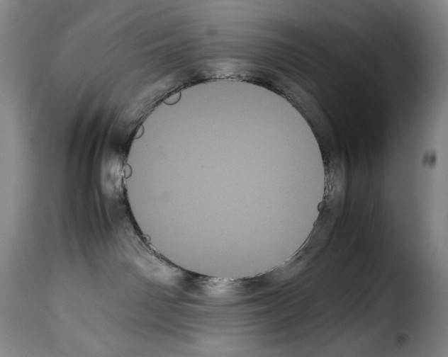 X0000114190142200911200945