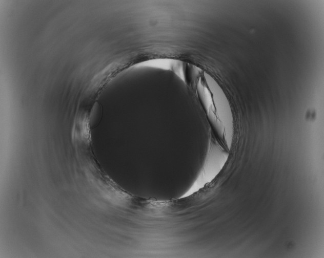 X0000114190143200911200945
