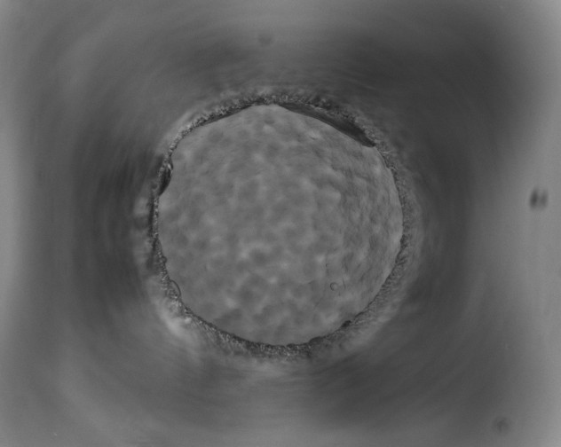 X0000114190144200911200945