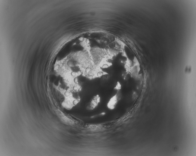 X0000114190145200911200944