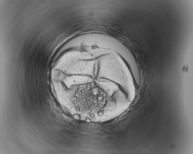 X0000114190146200911200944