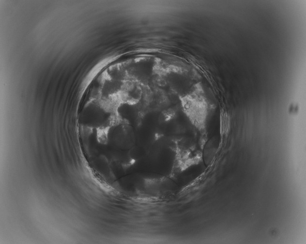 X0000114190147200911200944