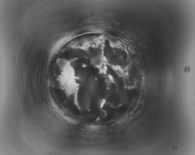 X0000114190149200911200944