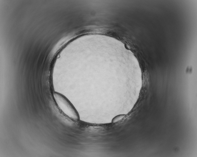 X0000114190150200911200944