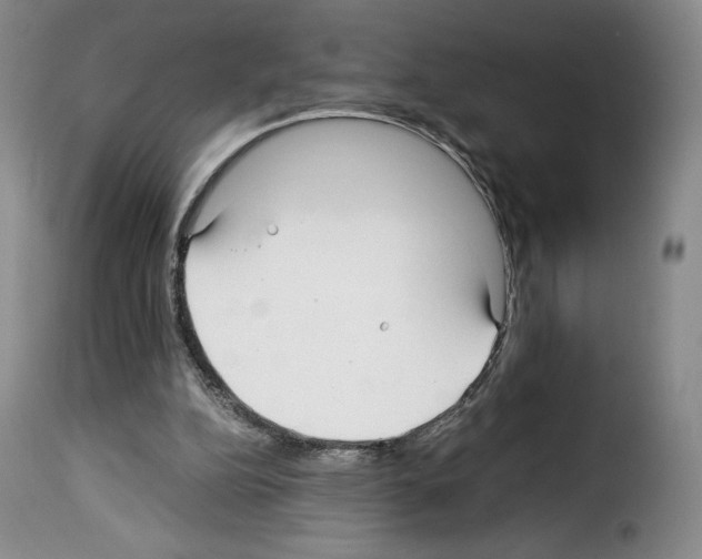 X0000114190152200911200944