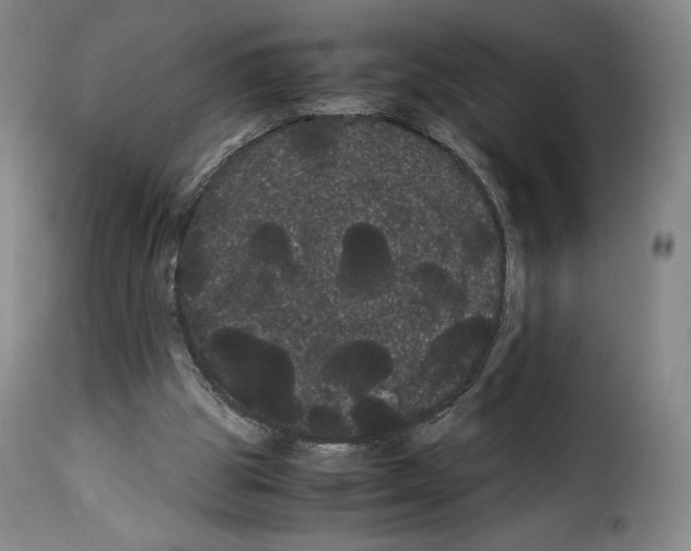 X0000114190153200911200944
