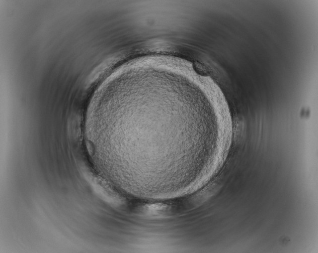 X0000114190158200911200944