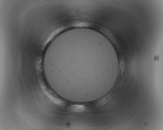 X0000114190159200911200944