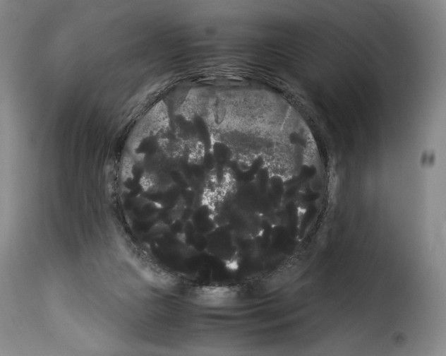 X0000114190161200911200944