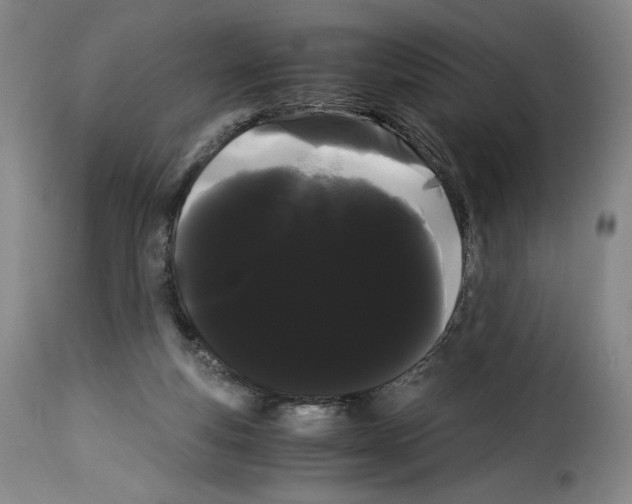 X0000114190163200911200944