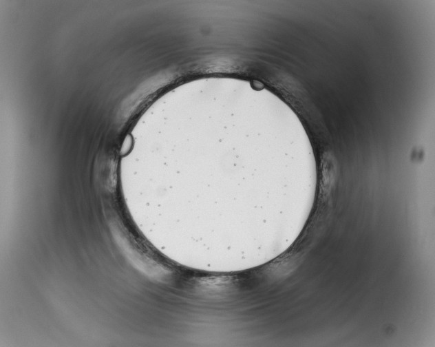 X0000114190164200911200944