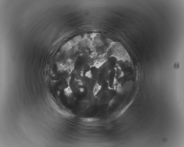 X0000114190165200911200944