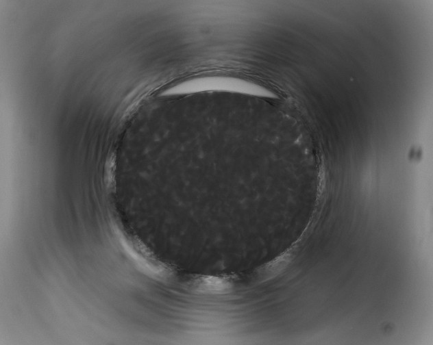 X0000114190166200911200944