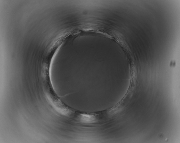 X0000114190167200911200944