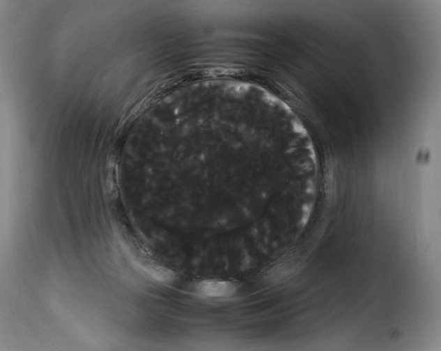 X0000114190169200911200944