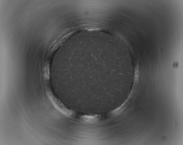 X0000114190170200911200944