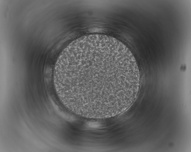 X0000114190171200911200944