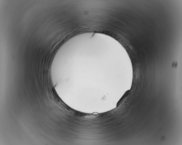 X0000114190172200911200944