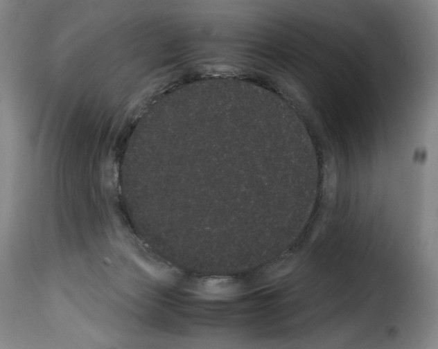 X0000114190173200911200944