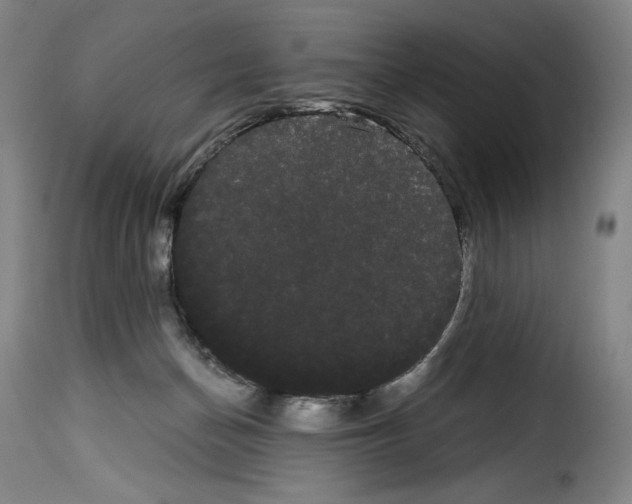 X0000114190174200911200944
