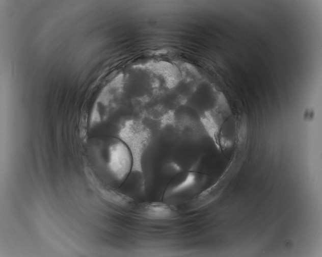 X0000114190175200911200944