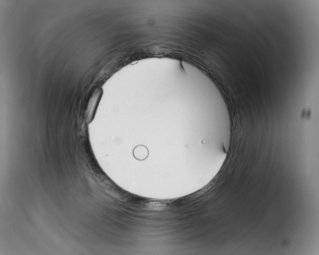 X0000114190176200911200944