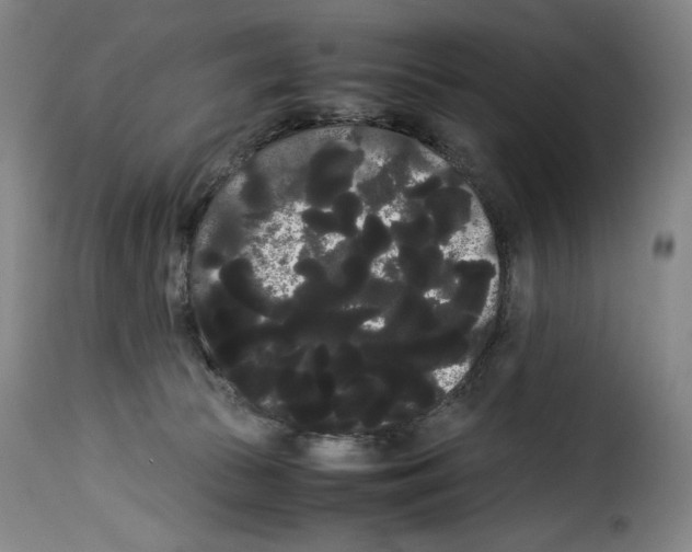 X0000114190177200911200944