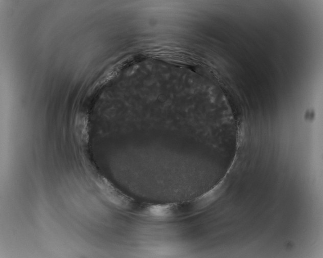 X0000114190178200911200944