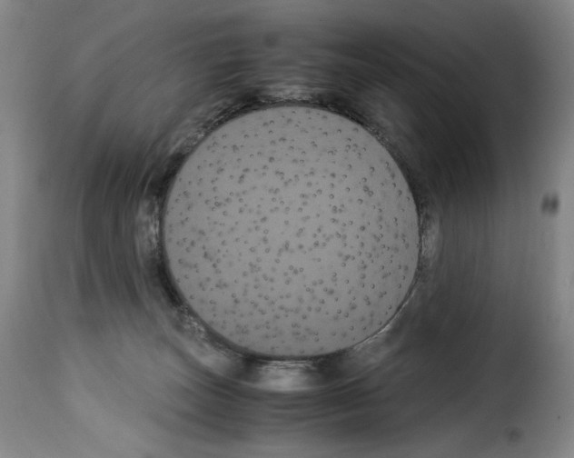 X0000114190179200911200945