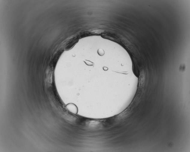 X0000114190180200911200945