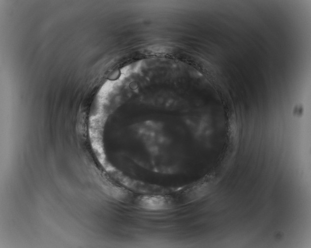 X0000114190181200911200945