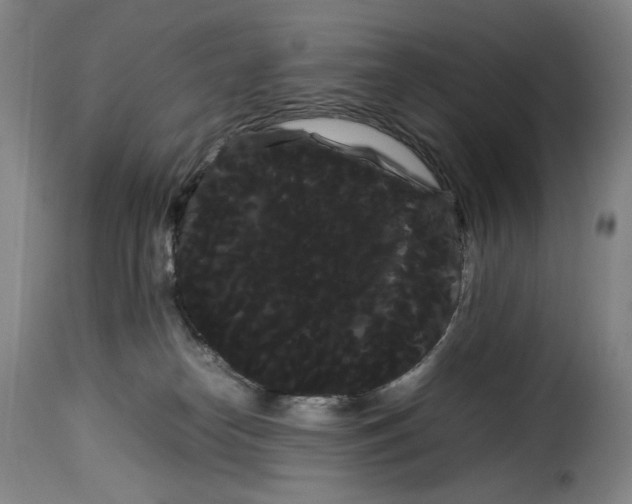 X0000114190182200911200945