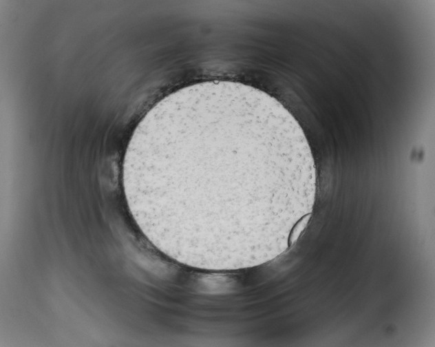 X0000114190183200911200945