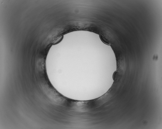 X0000114190184200911200945