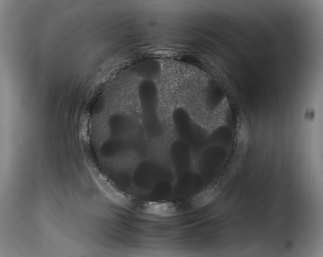 X0000114190185200911200945