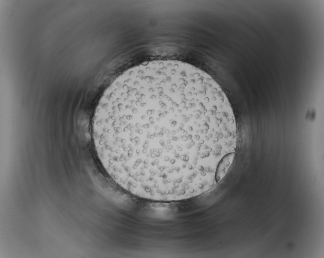 X0000114190187200911200945