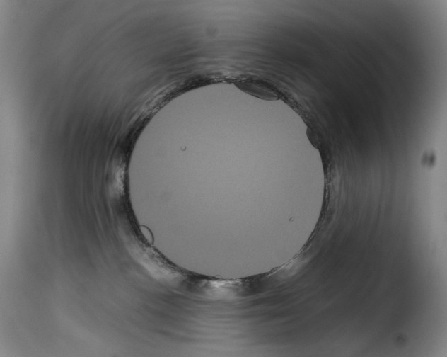 X0000114190188200911200945