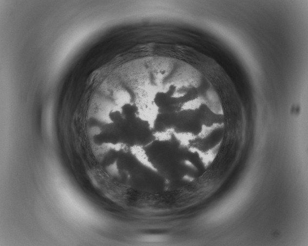 X0000114190189200911200945