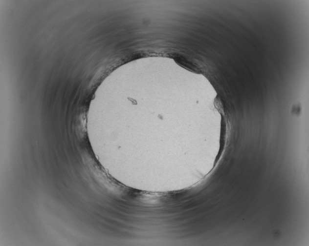 X0000114190190200911200945