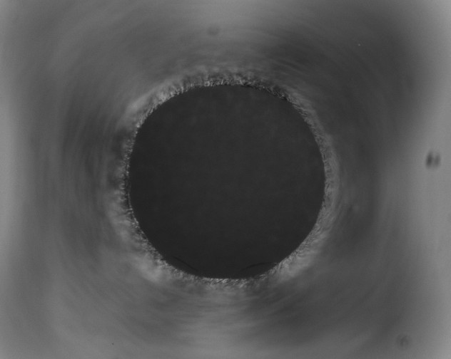 X0000114190192200911200945