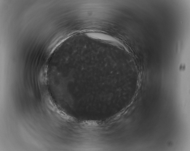 X0000114190194200911200944