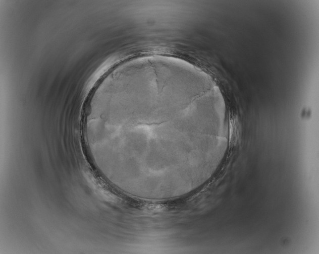 X0000114190195200911200944